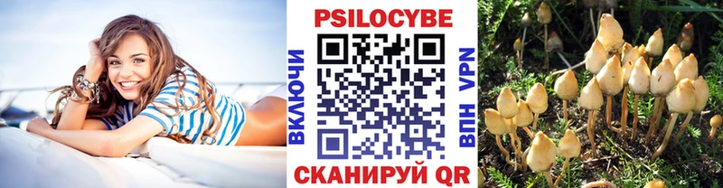 Псилоцибиновые грибы Magic Shrooms  Тотьма 